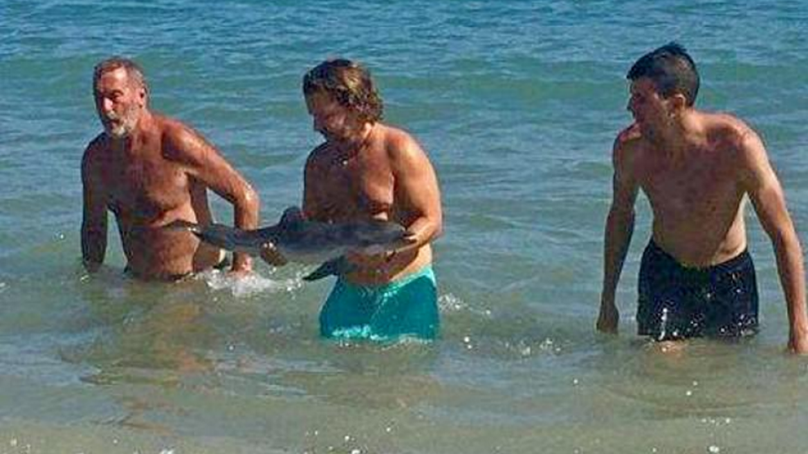 Ισπανία: Τουρίστες προκάλεσαν τον θάνατο σε μωρό δελφίνι για να βγάλουν... selfie